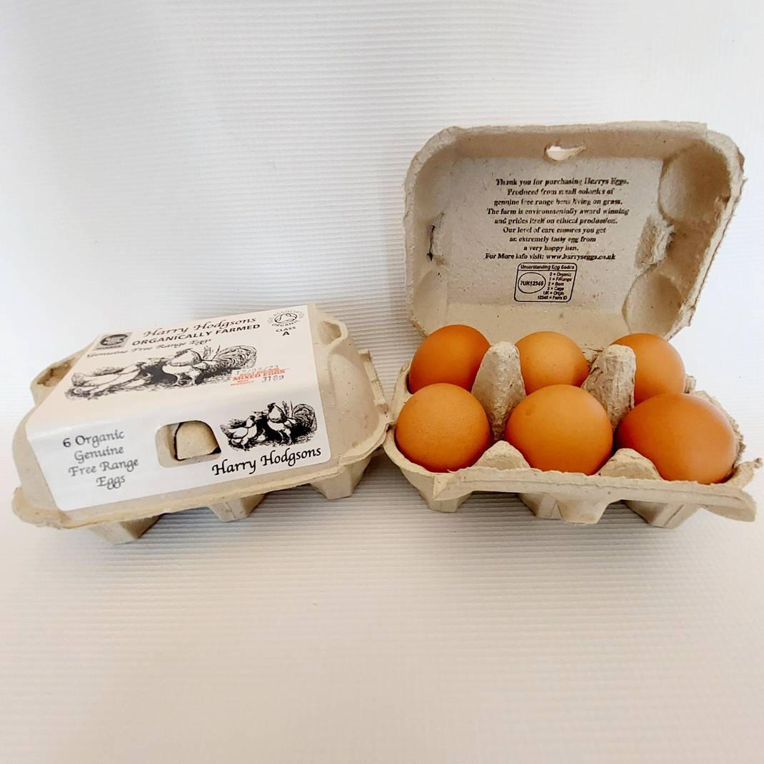 Organic Eggs